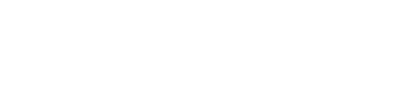 Decision Analyst, Inc.